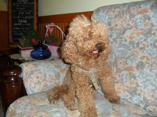 Villa-brandi --- Completa --- Bellaria-Igea Marina