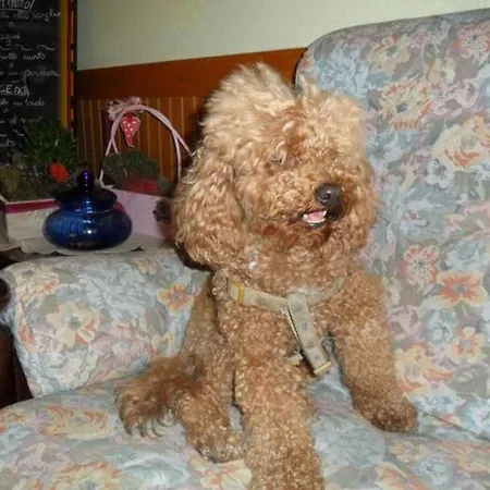 Villa-brandi --- Completa --- Bellaria-Igea Marina